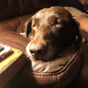 Meet your Posher, Kara